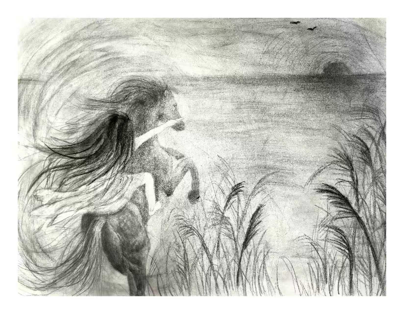 Professional Group D: Ages 16–18